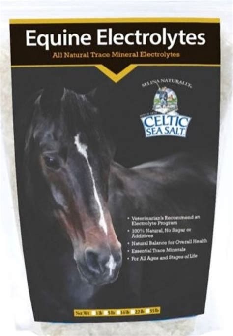 horse celtic salt|celtic salt benefits for horses.